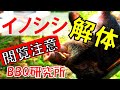 【猪肉の皮むき】猟師による下処理／ジビエ料理／丹波山村【バーベキュー研究所】