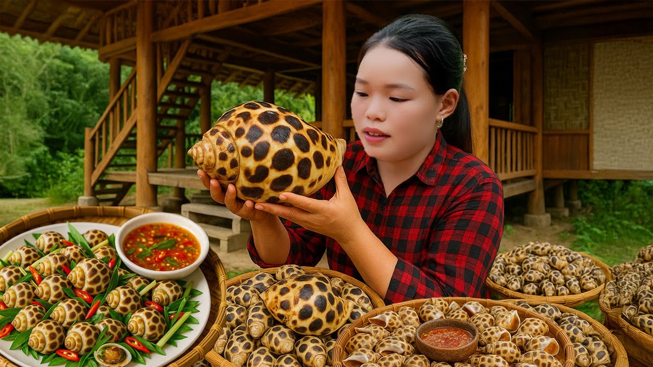 How to Harvest Snails to Sell at the Market - Cooking - Daily Life | Trieu Mai Huong
