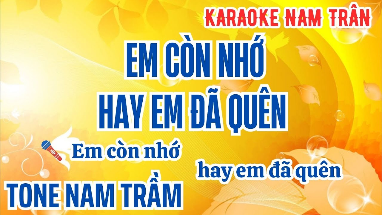 Karaoke Em Còn Nhớ Hay Em Đã Quên Tone Nam Trầm | Nam Trân
