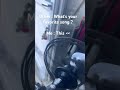 Bike song ++
