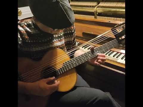 Butterfly In The Spring Wind On A 10 String Contraguitar 