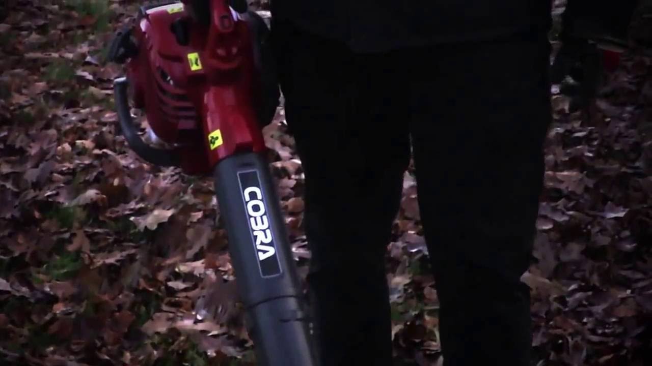 cobra leaf vacuum