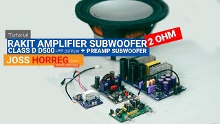 Mini High Power Subwoofer Amplifier D500 Super Powerful