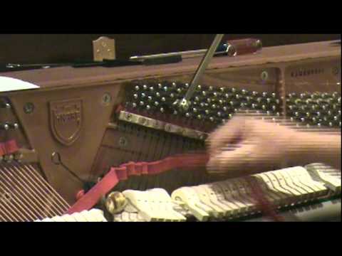 Alan Zajicek, RPT, Tuning Midrange Unisons