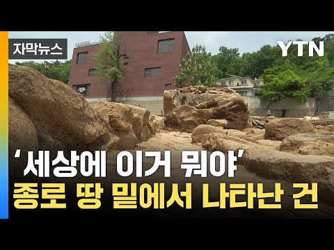   자막뉴스 서울 도심 땅밑서 발견 엄청난 희귀 사례 YTN