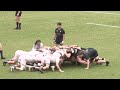 Army Rugby vs Mount St. Mary's (Md.) (4/5/25)