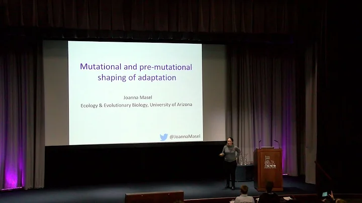 Evolution Evolving: Joanna Masel