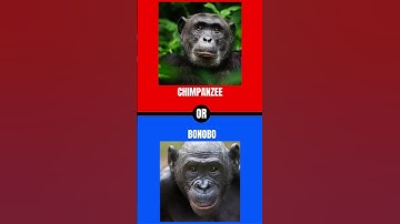 can you decide? comment down below your answers #wouldyourather #challenge #shorts