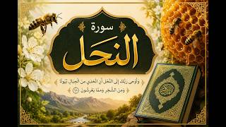 سورة النحل بصوت القارئ حمزة الجزائري