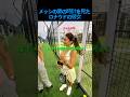 メッシの妻の時計を見たロナウドの彼女