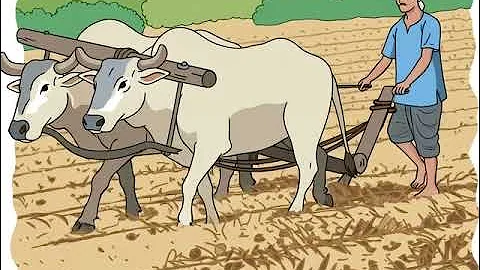 grok video 6df0e1de 7b0e 454d 8d04 fdf3d6b9e83f