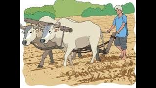 grok video 6df0e1de 7b0e 454d 8d04 fdf3d6b9e83f