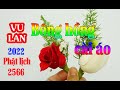 Huy Tâm Channel -  YOUTUBE - Lễ Vu Lan và nguồn gốc Bông hồng cài áo 