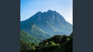 Download Lagu Playlist for My Ghost MP3