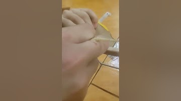 Science Olympiad Chicago Regionals Flight