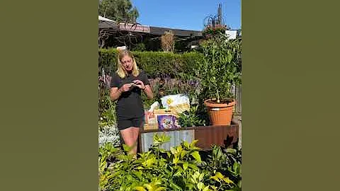 Citrus Talk with Christine Rasmussen