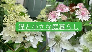 ＊ガーデンVlog＊素敵ガーデンのイベント🥀🪻🌻バラ友さんのお庭拝見🌹バラの花後剪定