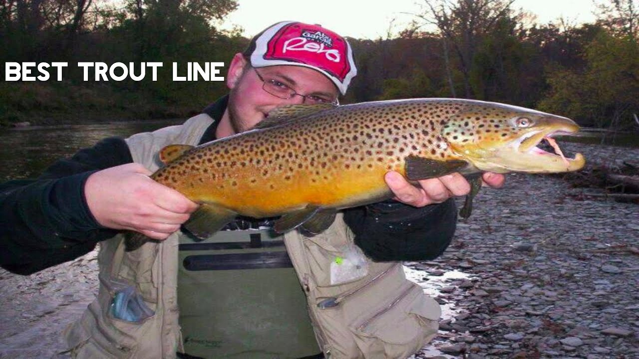 Trout Fishing Best Line For Trout? YouTube