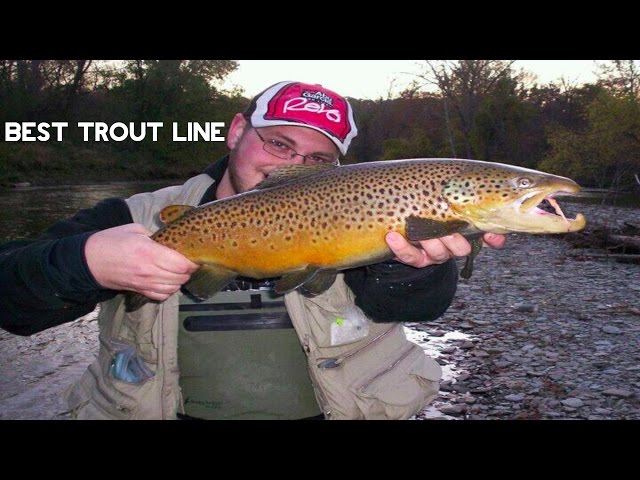 Trout Fishing - Best Line For Trout? 
