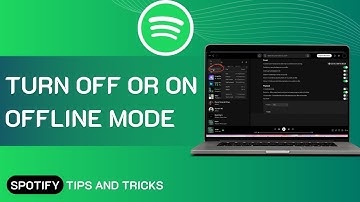 How To Turn Off/On Offline Mode On Spotify 2024