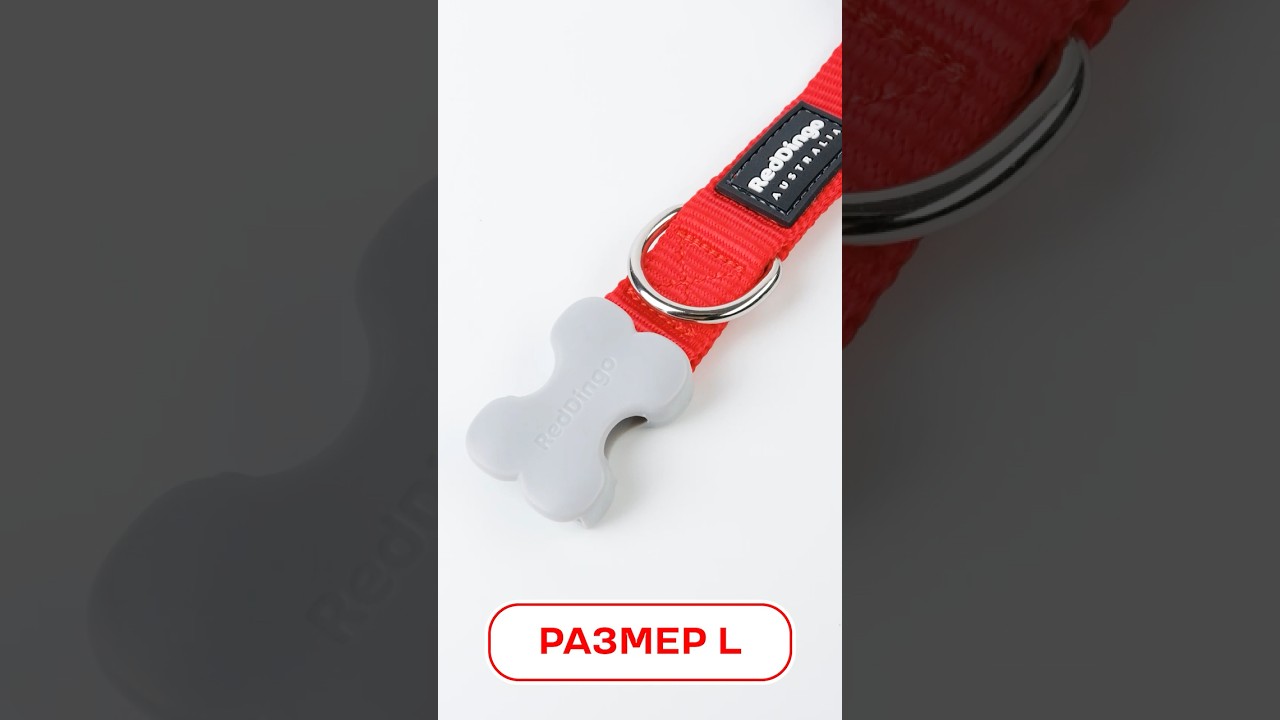 Ошейник Red Dingo красный, размер L