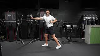 Isometric Split squat with cable press + row