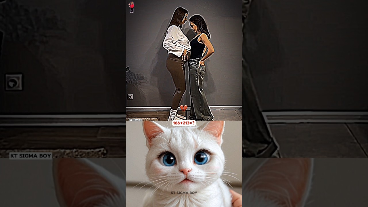 Cat Funny Reaction Day-11 🤯🤣 