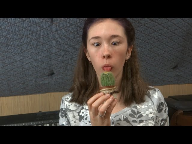 НОВЫЙ КАКТУС ДАКОТКИ / МИНИ-УХОД ЗА НИМ
