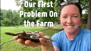 First Problem on the Farm! | July 2026