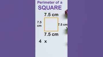 perimeter of  square | #shorts #shortvideo #viral #trending #mathsshorts