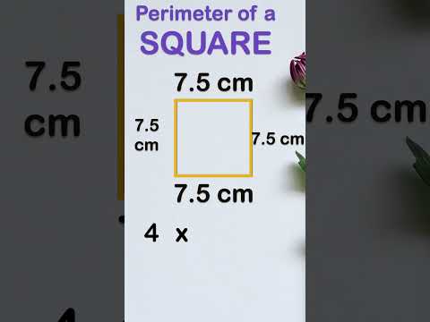 perimeter of square