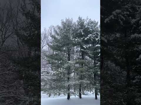 ☃️❄️🌨️ #snowy #christmas