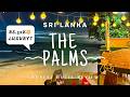 Budget Luxury Beach Hotel 😍 Rs.32,000 Full Board | 3 Buffets Worth It? | The Palms Beruwala Review🇱🇰