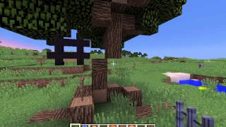 One Command Statues