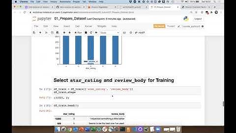 Build an End-to-End Machine Learning Pipeline with BERT, TensorFlow, Kubeflow, and Amazon SageMaker