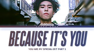 SEOL HOSEUNG (SURL) - 'Because It's You' (난 너여서) (You Are My Spring OST Part 2) Lyrics (Han/Rom/Eng)