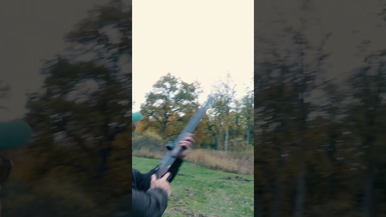 Aimpoint Rough Shooting