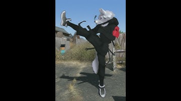 Render LOOP 19 Jan 2025