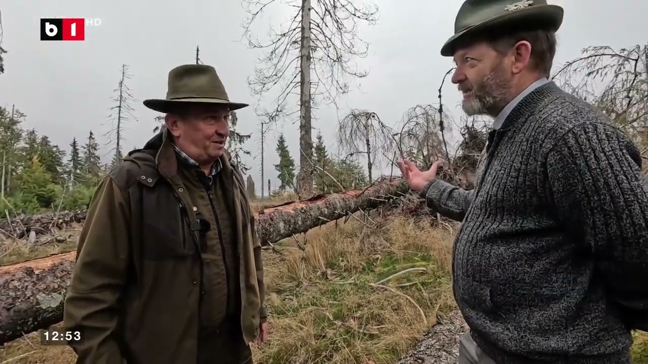 POVESTEA LEMNULUI. DOUĂ VIEȚI, SUFLET, TRADIȚIE_Știri B1TV_18 ian. 2026