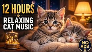Gentle Cat Harmony 🐱 12 Hours Soft Piano