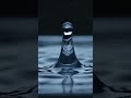 a single water droplet falling into a perfectly still surface