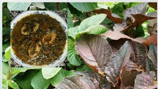 ডট শক দয মছর ঝলData Shak Diye Much Rannasteam Amaranth Leafs With Fish Curry.