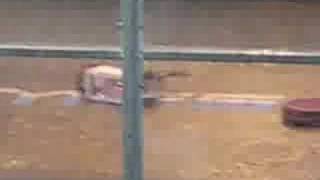 BattleBots Greatest Hits at RoboGames 2008