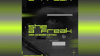 Armin van Buuren & Skytech - She A Freak (Extended Mix)
