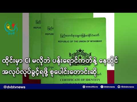 ထိုင်းမှာ CI မလိုဘဲ ပန်းရောင်ကတ်နဲ့ နေထိုင် အလုပ်လုပ်ခွင့်ရဖို့ စုပေါင်းတောင်းဆို- DVB News