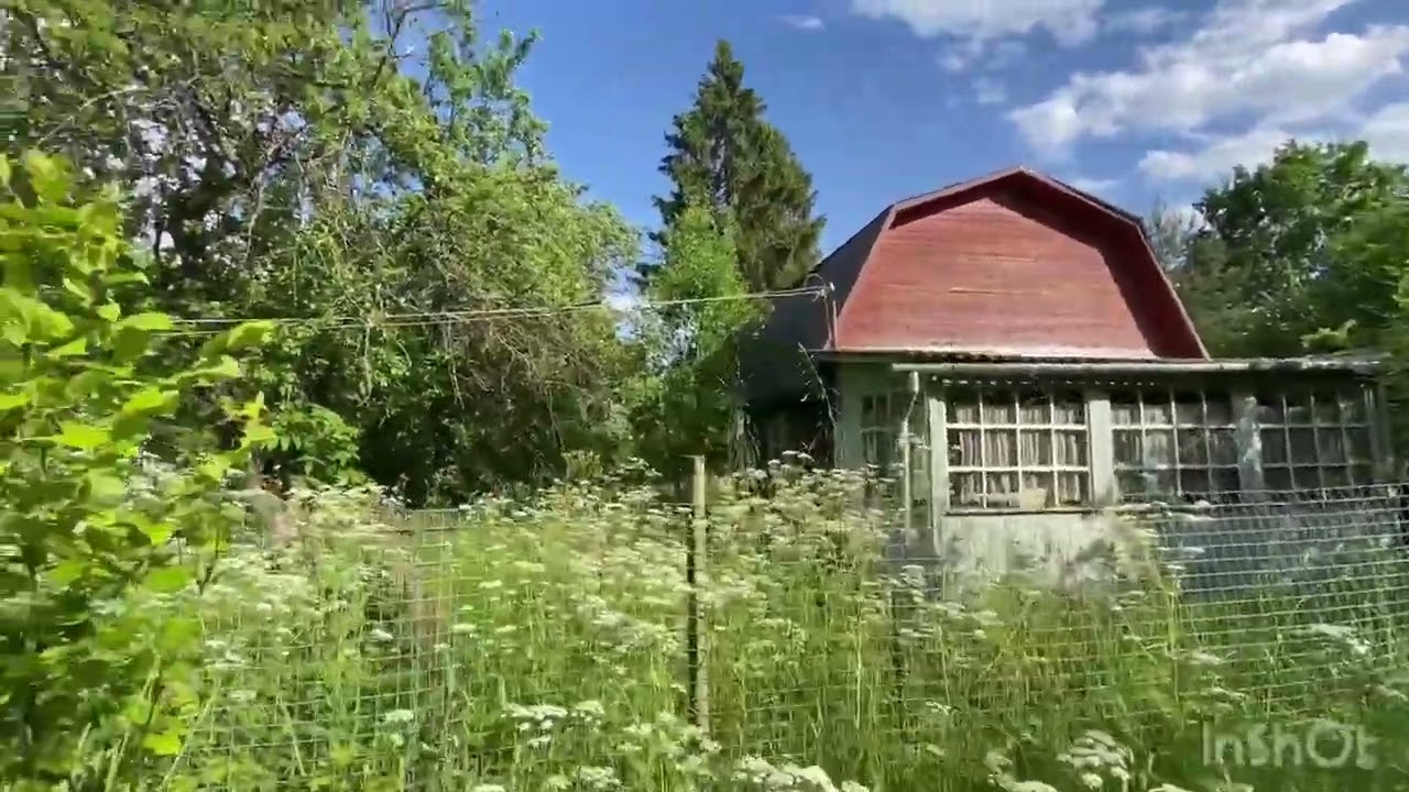 Наша покровка дружба