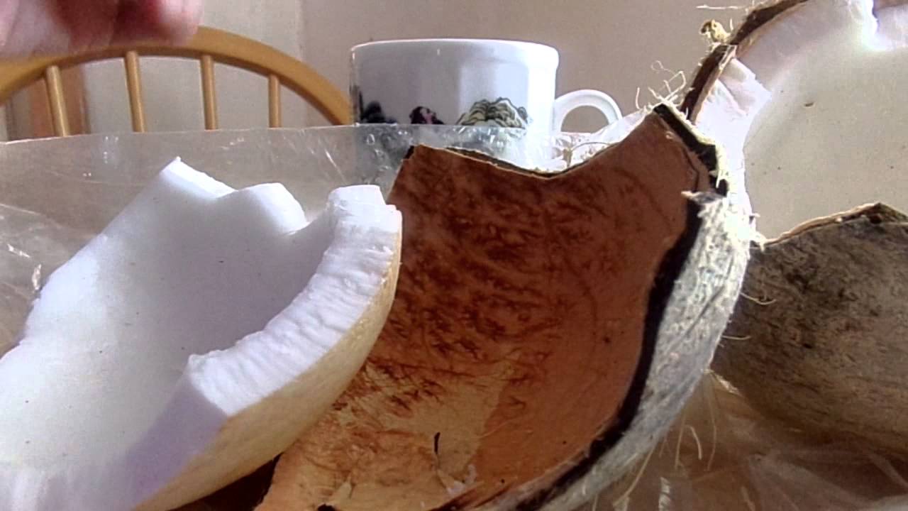 COCONUT READY TO EAT YouTube