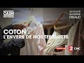 Cash investigation  coton  lenvers de nos teeshirts intgrale