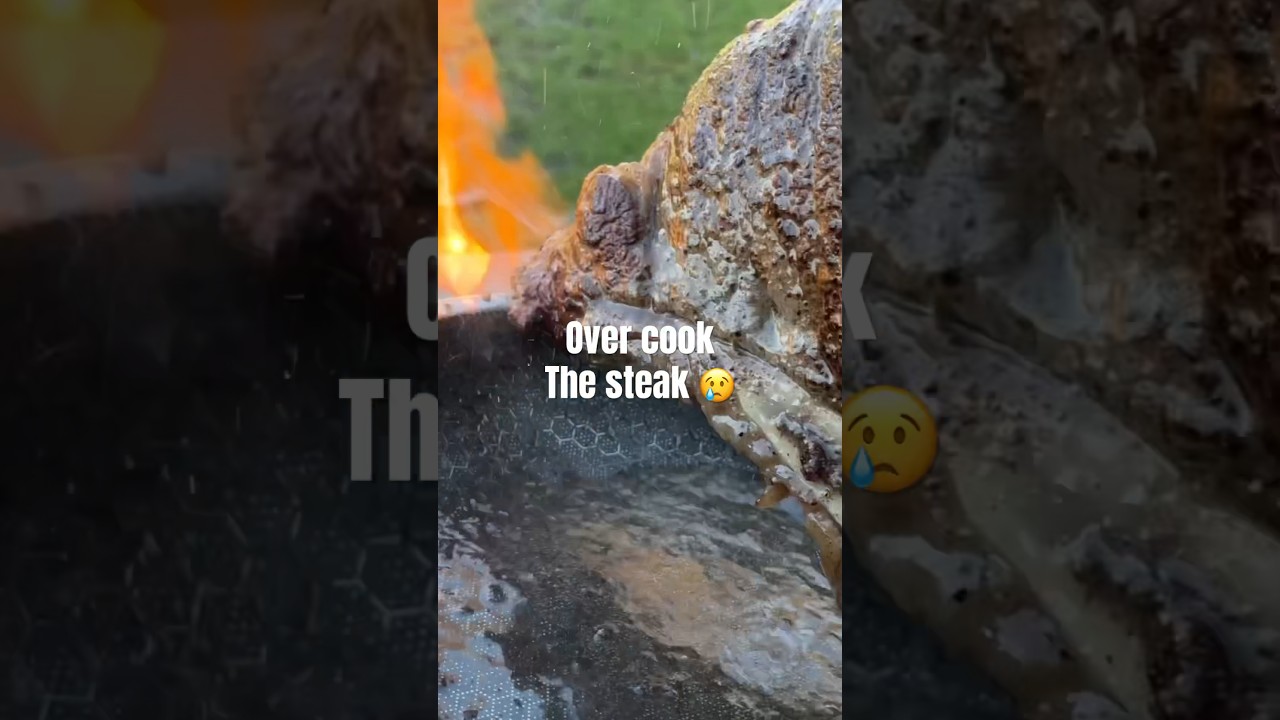 Timing Matters! The Day I Overcooked Steaks at the Park 🔥🥩 
