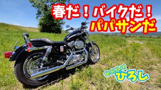 saaaaa様 Grey | MMKB | Fandom